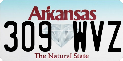 AR license plate 309WVZ