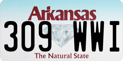 AR license plate 309WWI