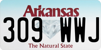 AR license plate 309WWJ