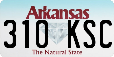AR license plate 310KSC