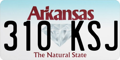 AR license plate 310KSJ