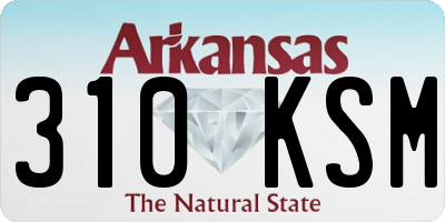 AR license plate 310KSM