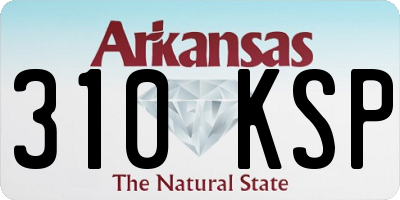 AR license plate 310KSP