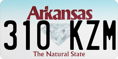 AR license plate 310KZM