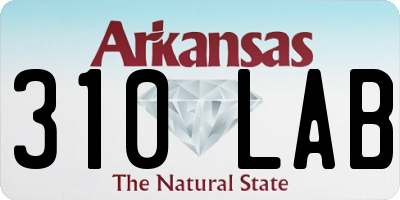 AR license plate 310LAB