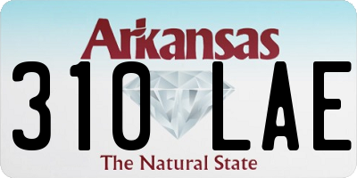 AR license plate 310LAE