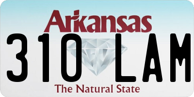 AR license plate 310LAM