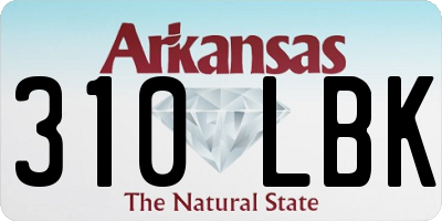 AR license plate 310LBK
