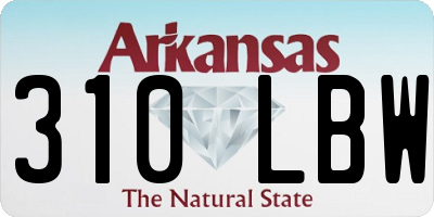 AR license plate 310LBW