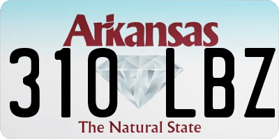 AR license plate 310LBZ