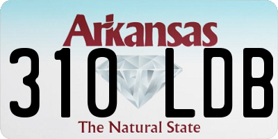 AR license plate 310LDB