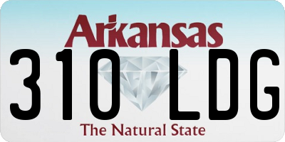AR license plate 310LDG