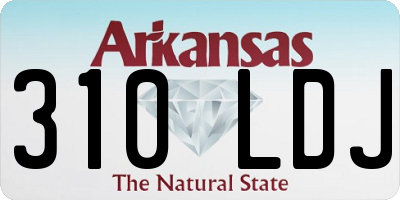 AR license plate 310LDJ