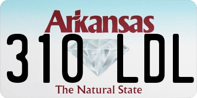 AR license plate 310LDL