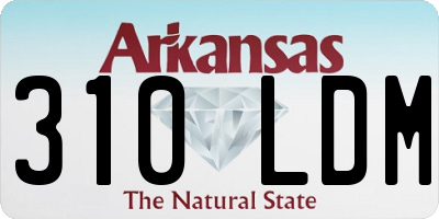 AR license plate 310LDM