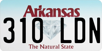 AR license plate 310LDN