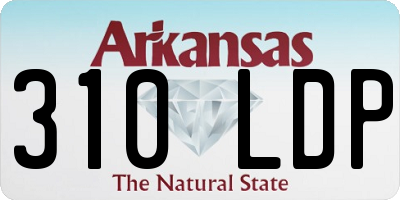 AR license plate 310LDP