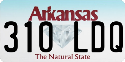 AR license plate 310LDQ