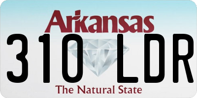 AR license plate 310LDR