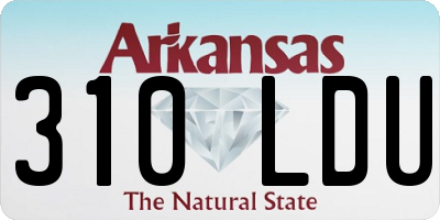 AR license plate 310LDU