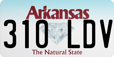 AR license plate 310LDV