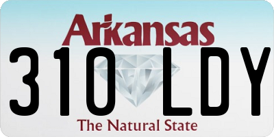 AR license plate 310LDY