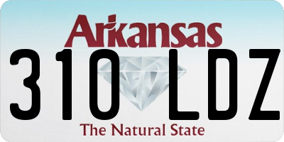 AR license plate 310LDZ