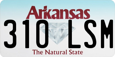 AR license plate 310LSM