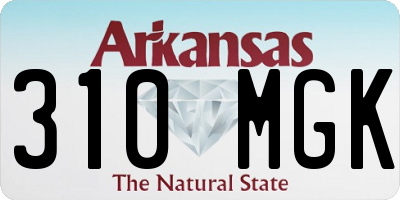 AR license plate 310MGK