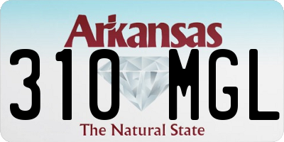 AR license plate 310MGL