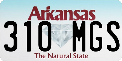 AR license plate 310MGS