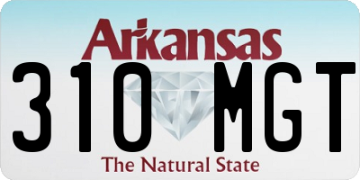 AR license plate 310MGT