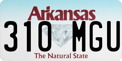 AR license plate 310MGU