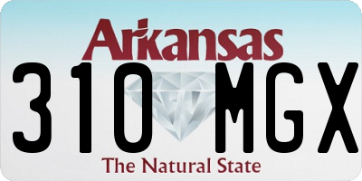 AR license plate 310MGX