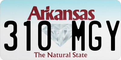AR license plate 310MGY