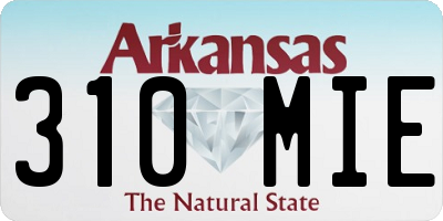 AR license plate 310MIE