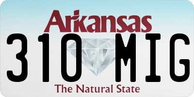 AR license plate 310MIG