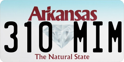 AR license plate 310MIM