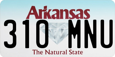 AR license plate 310MNU