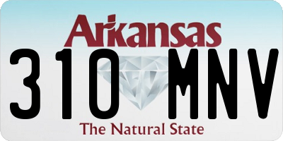 AR license plate 310MNV