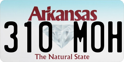 AR license plate 310MOH