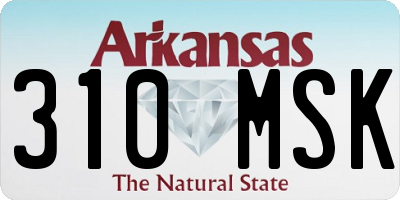 AR license plate 310MSK