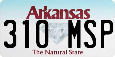 AR license plate 310MSP