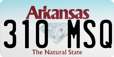 AR license plate 310MSQ