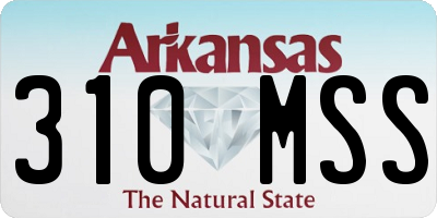 AR license plate 310MSS