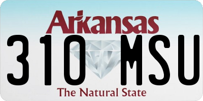 AR license plate 310MSU