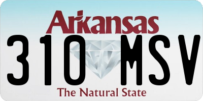 AR license plate 310MSV
