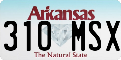 AR license plate 310MSX