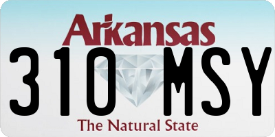 AR license plate 310MSY