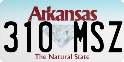 AR license plate 310MSZ